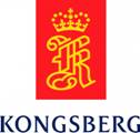 конг-логотип